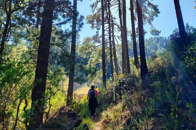 Sierra Norte Hike and Indigenous Village Full-Day Adventure - Evaluating the Value