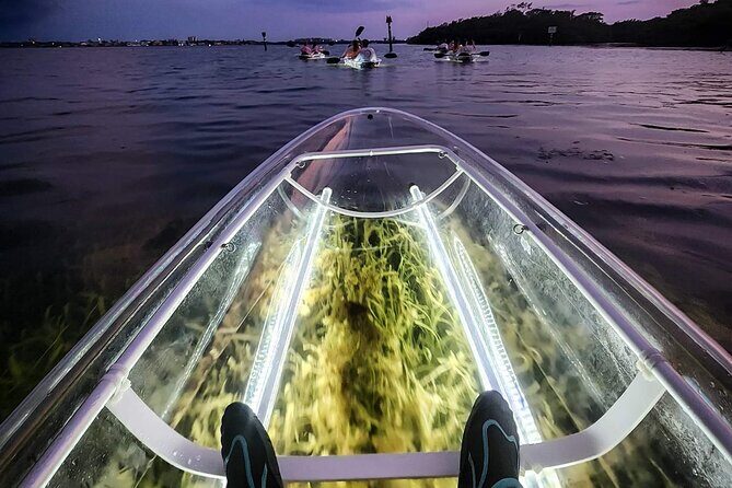 Siesta Key, FL - Clear Kayak LED Night Glass Bottom Tour - Price and Value: Is It Worth It?