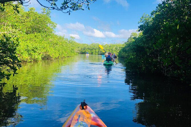 Siesta Key Guided Eco Tour - The Guides: Knowledgeable and Engaging