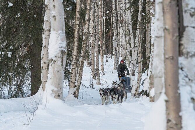 Signature Ridge Top Mush - The Practical Side: What Travelers Should Know