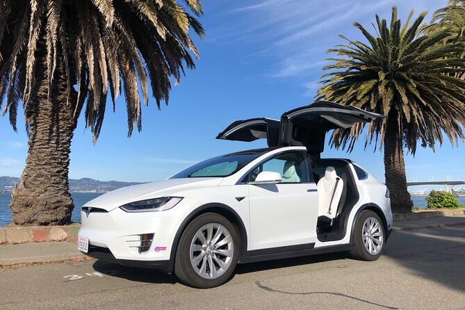 Silicon Valley Private Tour by Luxury Tesla from San Francisco - Who Should Consider This Tour?