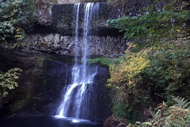 Silver Falls Hike - What Travelers Can Expect from This Tour