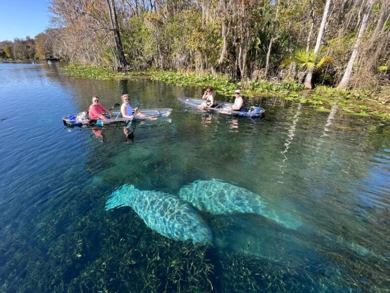Silver Springs: Clear Kayak Wildlife Tour - Why This Tour Works Well for Certain Travelers