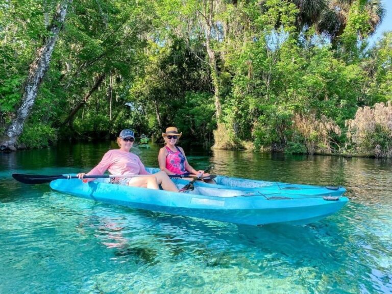 Silver Springs: Glass Bottom Kayak and Wildlife Tour - The Practicalities and Value