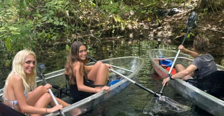 Silver Springs: Guided Clear Kayak or Paddleboard Gator Tour - The Itinerary: What Can You Expect?
