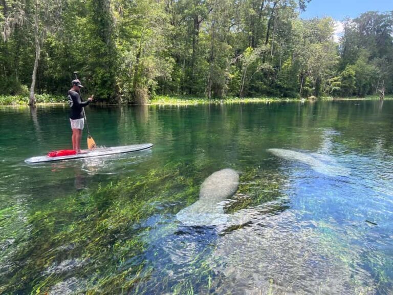 Silver Springs: Manatees, Monkeys, and Natural Spring Tour - Who This Tour Is Best For