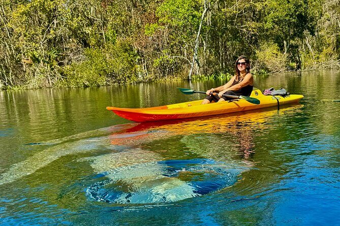 Silver Springs Premium Florida Wildlife Experience! - What the Itinerary Looks Like