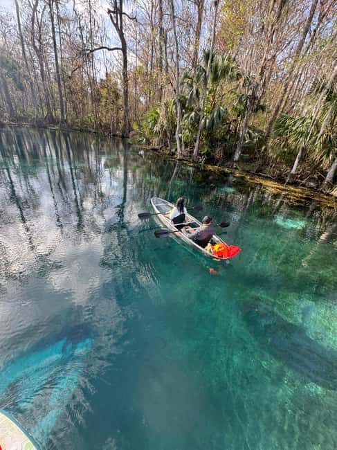 Silver Springs: Silver River Guided Kayak Tour - Who Is This Tour Best For?