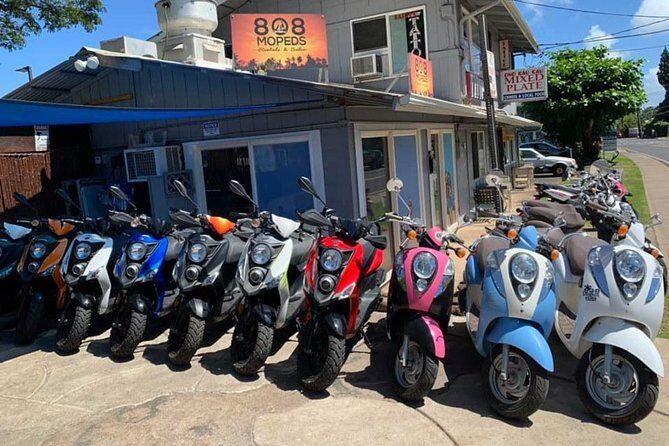 Single Passenger Moped/Scooter - 18+ NO Motorcycle License Needed - Authentic Experiences and Practicalities