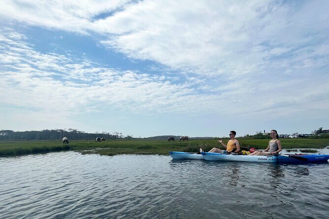 Single Sit on Top Kayak Rental at Assateague Island, MD - Authentic Experiences and Cultural Highlights