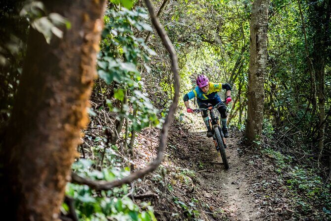 SINGLETRACK MOUNTAIN BIKE - Guided through the jungle - What You Can Expect from the Itinerary