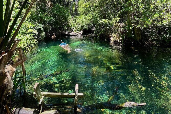 Sisal Mangrove and Beach Kayak Tour From Merida - Who Is This Tour Best For?