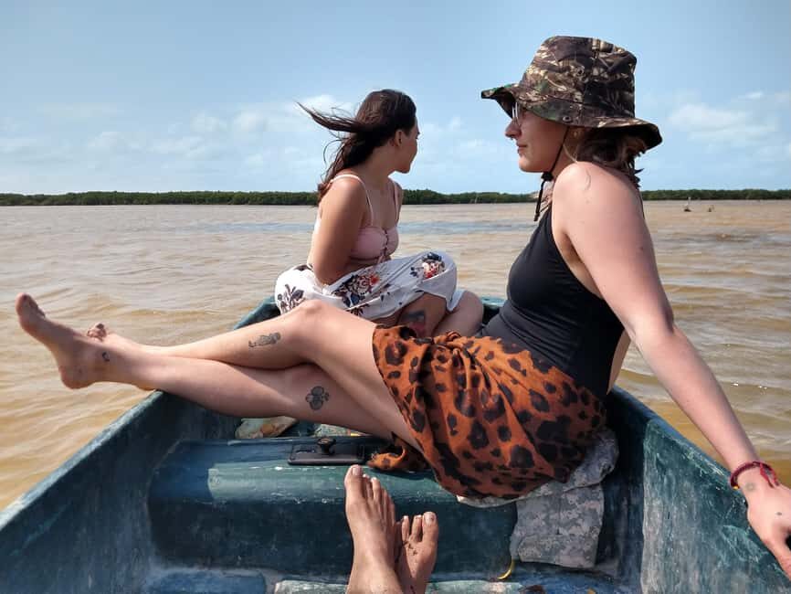 Sisal Yucatán: Flamingo Safari Tour Mangroves