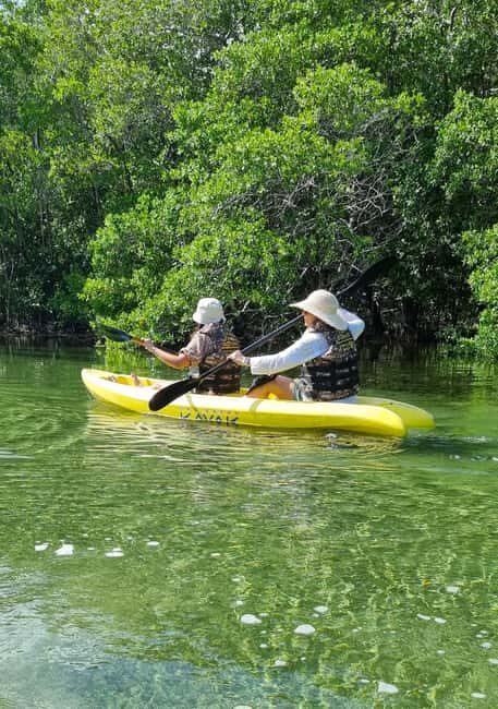 Sisal Yucatán: Snorkeling in a jungle spring and mangrove exploration