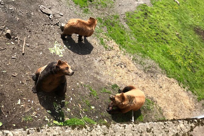 Sitka's only Private Simply Amazing Tour - Analyzing the Value