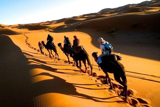 Six Days From Casablanca To Sahara - The Heart of Morocco: Fes Medina