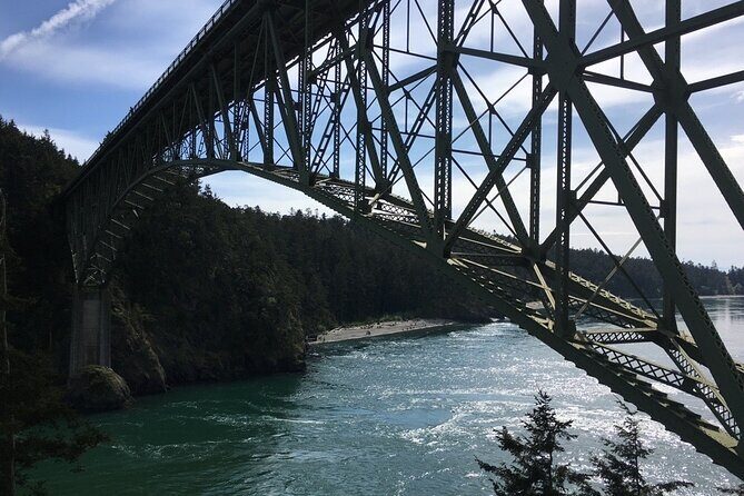 Skagit Valley Birding + Deception Pass Day Tour From Seattle - Price and Value