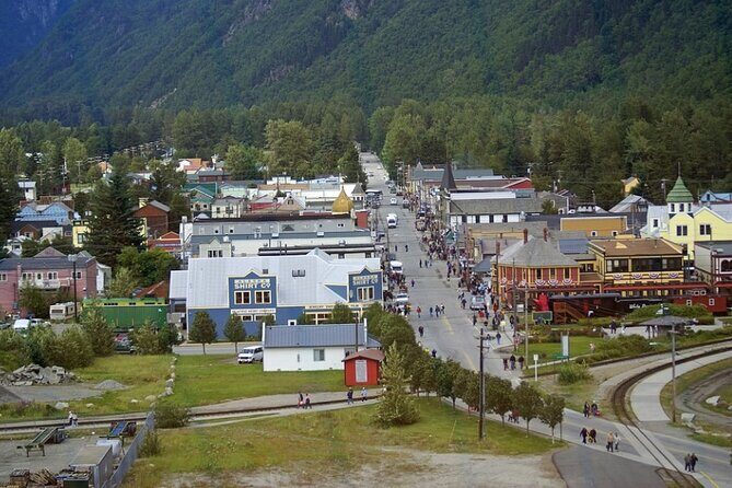 Skagway City Tour and White Pass Summit Adventure - Who Will Love This Tour?