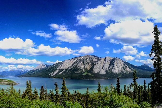 Skagway Shore Excursion: Full-Day Tour of the Yukon - The Itinerary in Detail