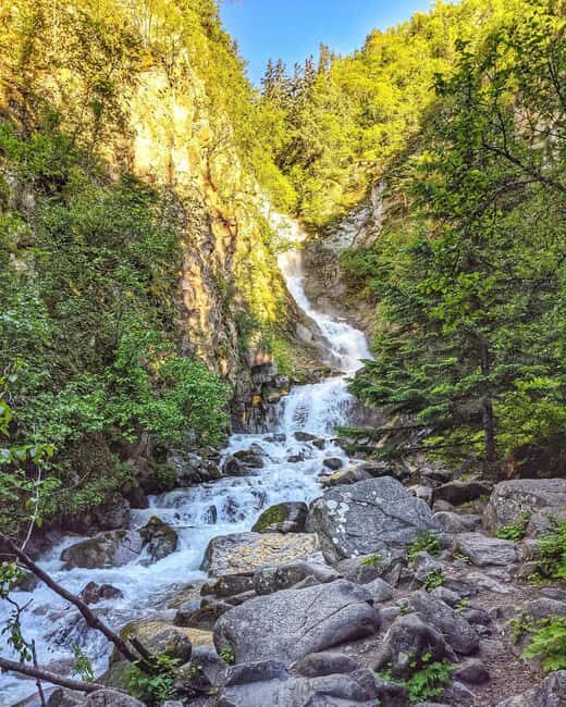 Skagway: Trail and Sail - Who Should Consider This Tour?