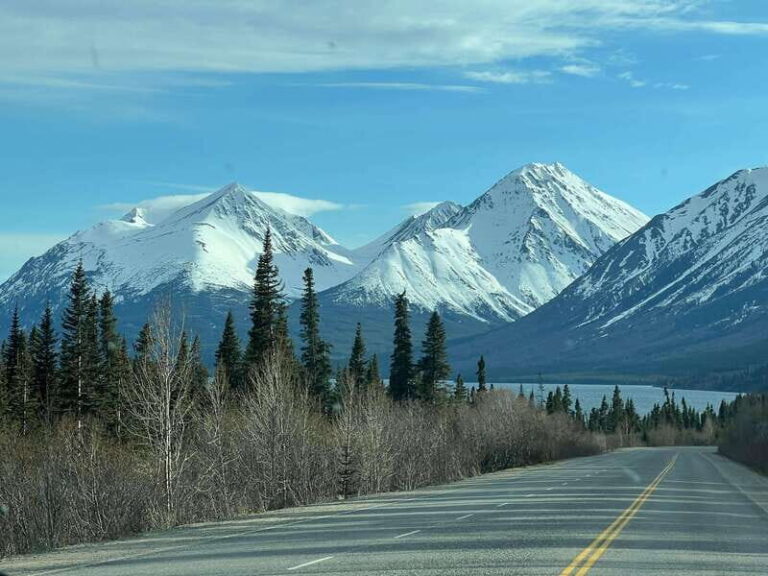 Skagway: Yukon Dog Mushing & Sightseeing Tour - Why This Tour Offers Good Value