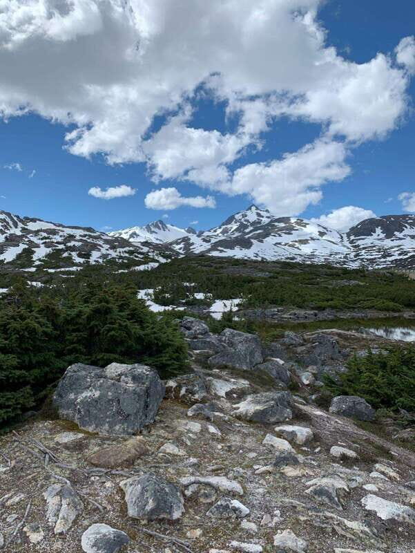 Skagway: Yukon Suspension Bridge & Summit Tour - The Highlight: Yukon Suspension Bridge