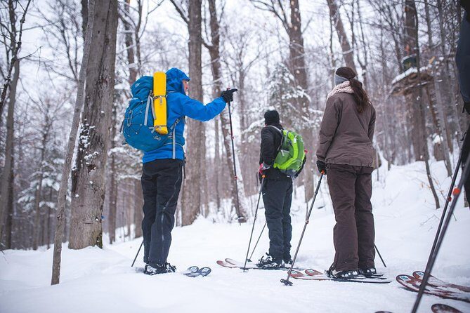 Skiing (Hok Ski) Excursion in Jacques-Cartier National Park - The Value of the Tour