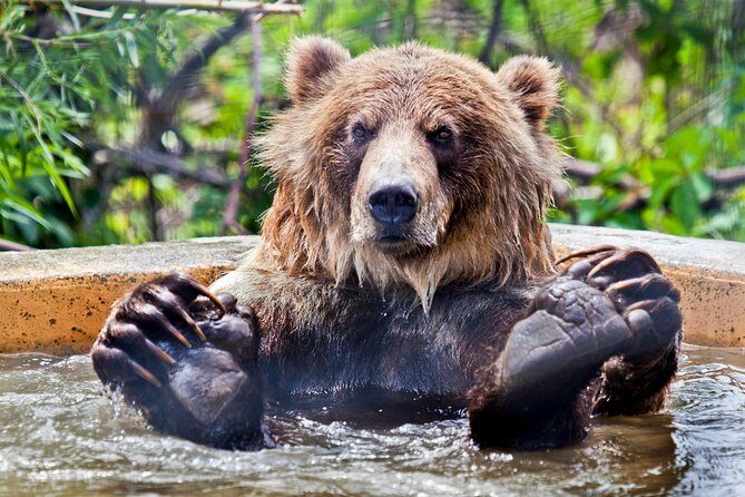 Skip the Line: Kamloops BC Wildlife Park Admission Ticket - A Closer Look at the BC Wildlife Park