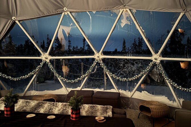 Skydome Aurora Viewing - What Makes This Tour Stand Out?