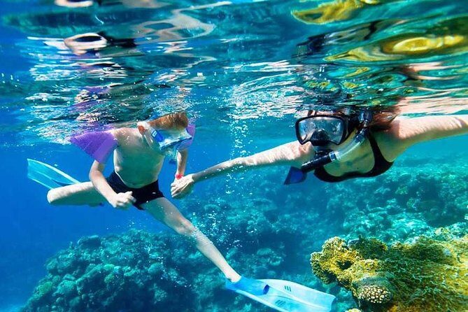 SkyReef Cozumel Snorkel & Tequila Tasting - A Closer Look at the Tour Experience