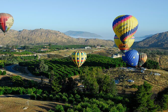 Skyward at Sunrise: A Premiere Temecula Balloon Adventure - Comparing Expectations and Reality