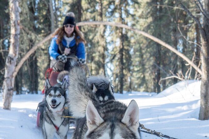 Sledding and Homesteading Adventure - Value and Pricing Analysis