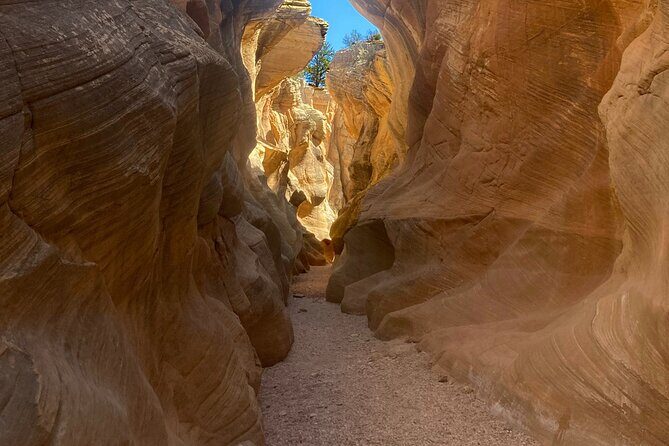 Slot Canyon 2hr tour at Willis Creek - The Practical Side: Transportation, Physicality, and Booking
