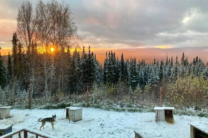 Sluice Box Kennel Experience - FAQs