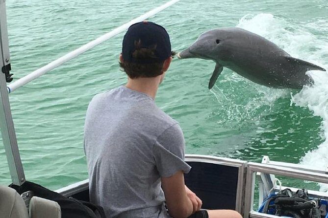 Small Group 2 Hour Dolphin Cruise with Snorkeling to Shell Key - Authentic Feedback from Fellow Travelers