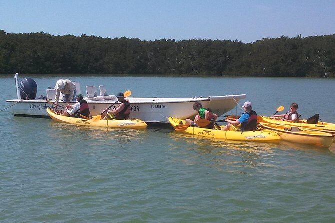 Small Group Boat, Kayak and Walking Guided Eco Tour Everglades - Why This Tour Offers Great Value