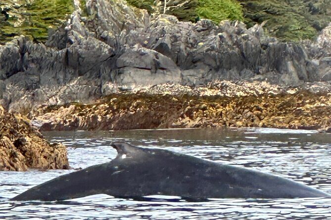 Small Group Boat Tour of Sitka - Logistics and Practical Tips