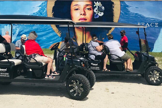 Small-Group Brewery Golf Cart Tour of Wynwood with a Local Guide - Who Will Love This Tour?