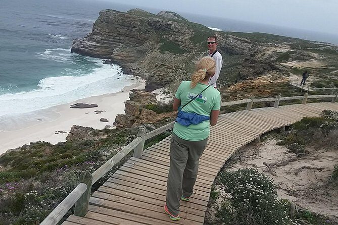 Small Group Cape Of Good Hope Penguins Wine Tasting Inc Park Fees - The Itinerary: What You’ll Experience