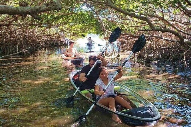 Small-Group Clear Kayak Tour in Shell Key - What Makes This Tour Special?