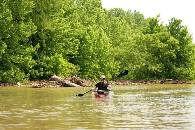 Small Group Clear Kayak Tour of Old Hickory Lake - Who Will Enjoy This Tour?