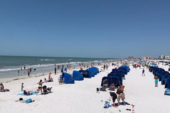 Small Group Clearwater Beach, Dolphin Watch Day Tour from Orlando - Detailed Breakdown of the Itinerary