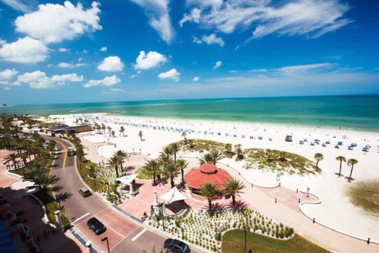Small Group Clearwater Beach,Dolphin Watch Tour from Orlando - Transport & Logistics: What It Means for You