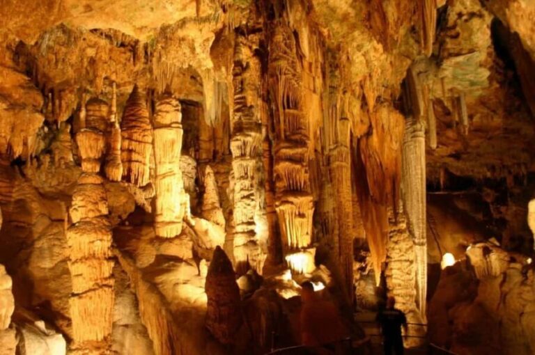 Small-Group D.C. Day Trip to Shenandoah Park & Luray Cavern - What to Expect on the Drive and Walks