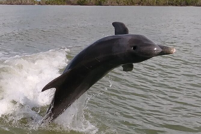 Small-Group Everglades Boating Kayaking and Walking Eco Tour - Why Travelers Love This Tour