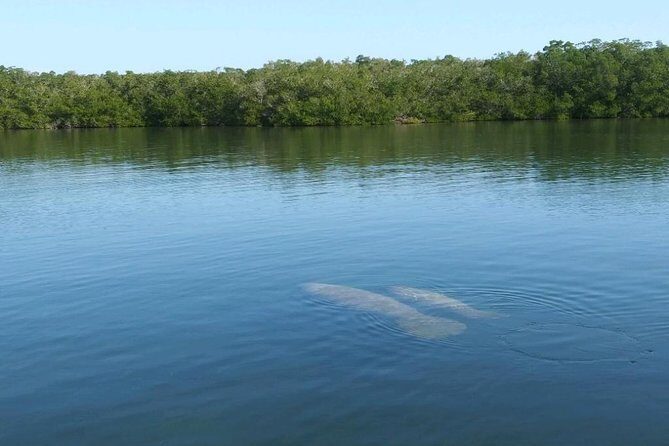 Small Group Florida Keys Eco Tour by Boat - The Sum Up
