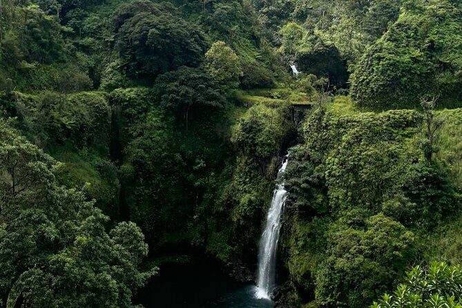 Small Group Full Day Road to Hana Adventure - Who Will Love This Experience?