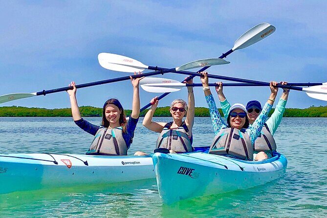Small Group Kayak Tour of the Shell Key Preserve - Who Should Consider This Tour?