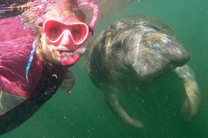 Small Group Manatee Snorkel Tour with In-Water Guide and Photographer - Analyzing the Value