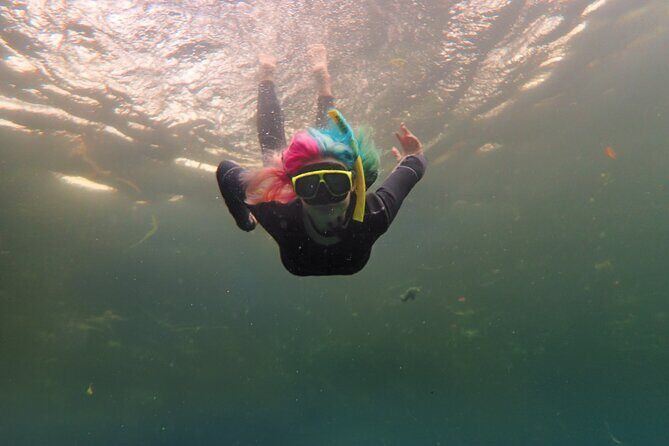 Small Group Manatee Swim Tour With Free Photos - The Snorkel Experience
